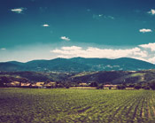 入侵检测的无限拨打手机号软件